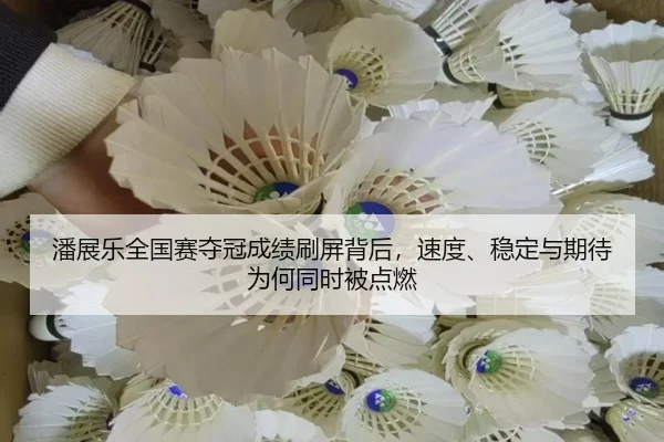 潘展乐全国赛夺冠成绩刷屏背后，速度、稳定与期待为何同时被点燃